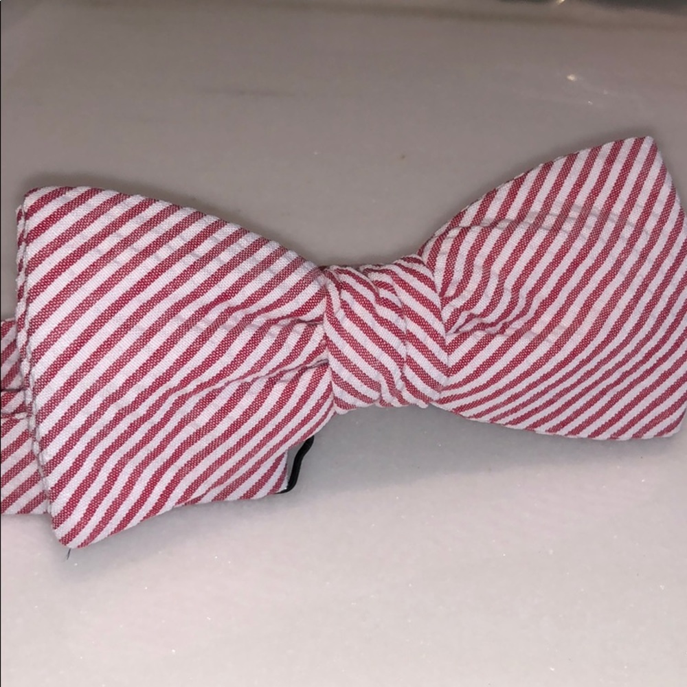 Sharp 🚨 MENS custom gingham Beau Tie of Vermont